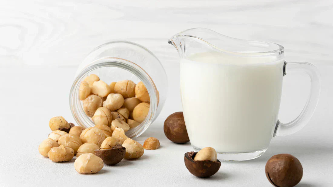 Macadamia Milk: A Creamy & Healthy Plant-Based Alternative